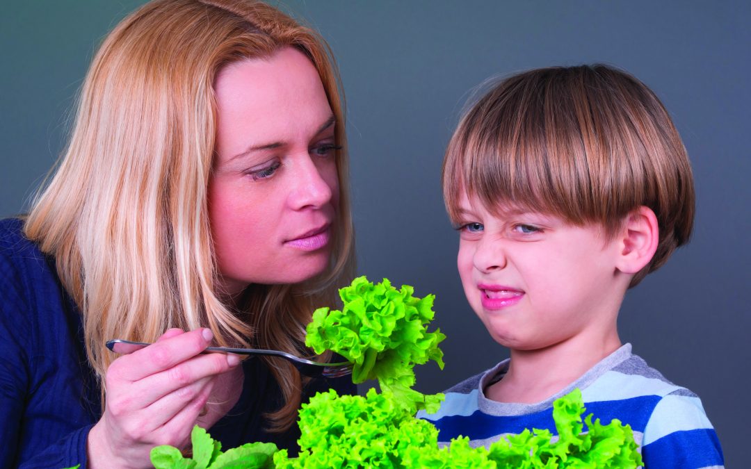 A Parents Guide To A Picky Eater